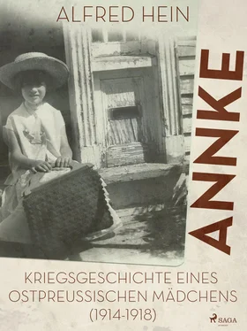 Alfred Hein Annke - Kriegsgeschichte eines ostpreussischen Mädchens (1914-1918) обложка книги
