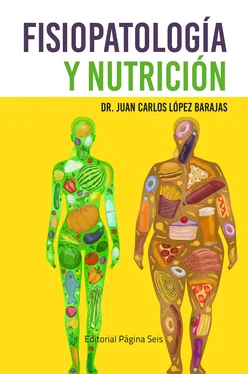 Juan Carlos López Barajas Fisiopatología y nutrición обложка книги