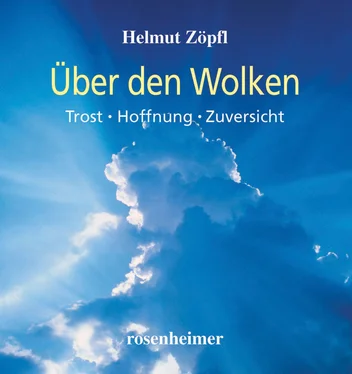 Helmut Zöpfl Über den Wolken обложка книги