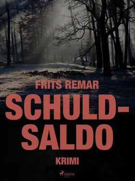 Frits Remar Schuldsaldo обложка книги