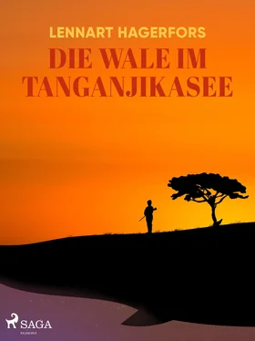 Lennart Hagerfors Die Wale im Tanganjikasee обложка книги