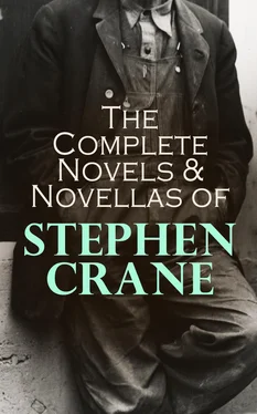 Stephen Crane The Complete Novels & Novellas of Stephen Crane обложка книги