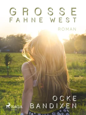 Ocke Bandixen Grosse Fahne West обложка книги