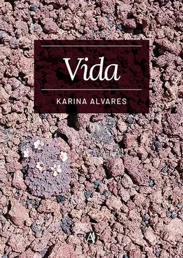 Karina Alvares Vida обложка книги