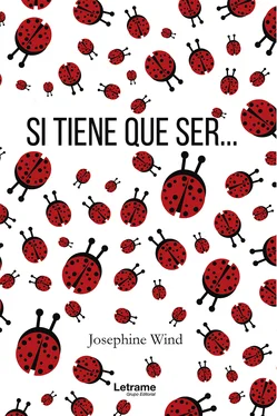 Josephine Wind Si tiene que ser... обложка книги