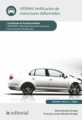 Francisco Javier Montes Ortega - Verificación de estructuras deformadas. TMVL0309
