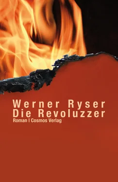 Werner Ryser Die Revoluzzer