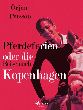 Örjan Persson Pferdeferien oder die Reise nach Kopenhagen обложка книги