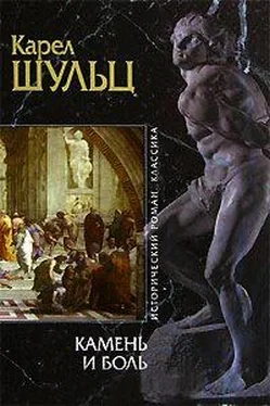 Карел Шульц Камень и боль обложка книги