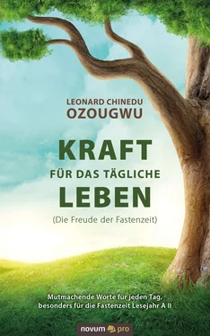 Leonard Chinedu Ozougwu Kraft für das tägliche Leben (Die Freude der Fastenzeit) обложка книги