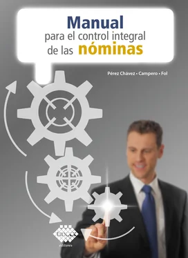 José Pérez Chávez Manual para el control integral de las nóminas 2020 обложка книги