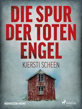 Kjersti Scheen Die Spur der toten Engel - Norwegen-Krimi обложка книги