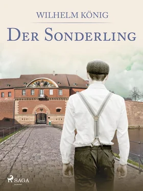 Wilhelm König Der Sonderling обложка книги