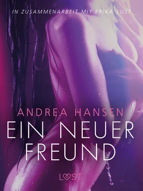 Andrea Hansen Ein neuer Freund: Erika Lust-Erotik обложка книги