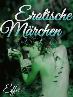 Effes Erotische Märchen обложка книги