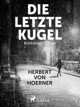 Herbert von Hoerner Die letzte Kugel обложка книги