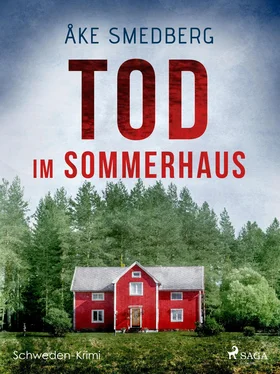 Åke Smedberg Tod im Sommerhaus - Schweden-Krimi обложка книги