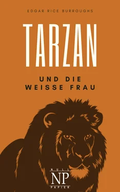 Edgar Burroughs Tarzan – Band 1 – Tarzan und die weiße Frau обложка книги