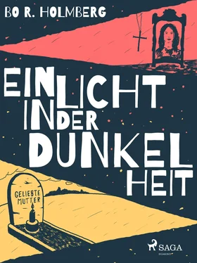 Bo R. Holmberg Ein Licht in der Dunkelheit обложка книги
