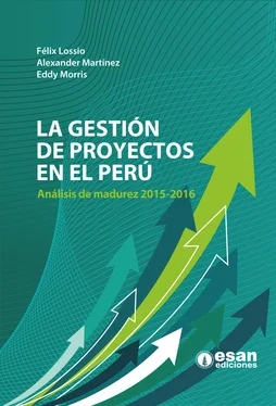 Alexander Martínez La gestión de proyectos en el Perú обложка книги