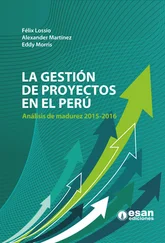 Alexander Martínez - La gestión de proyectos en el Perú
