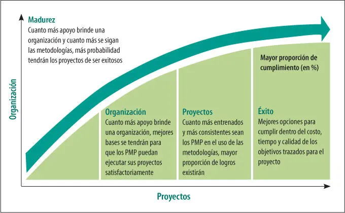 Figura 33 Dimensión de la evaluación de la organización versus los proyectos - фото 13