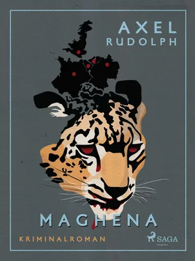 Axel Rudolph Maghena обложка книги