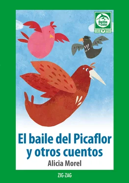 Alicia Morel El baile del picaflor обложка книги
