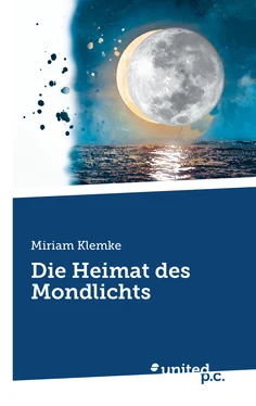 Miriam Klemke Die Heimat des Mondlichts обложка книги