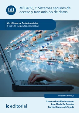 Lorena González Manzano Sistemas seguros de acceso y transmisión de datos. IFCT0109 обложка книги