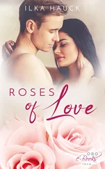 Ilka Hauck - Roses of Love - Band 1 bis 4 der romantischen Young Adult Serie im Sammelband!