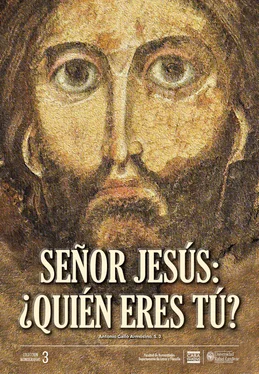 Antonio Gallo Armosino S J Señor Jesús: ¿Quién eres tú? обложка книги