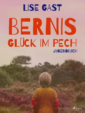 Lise Gast Bernis Glück im Pech обложка книги