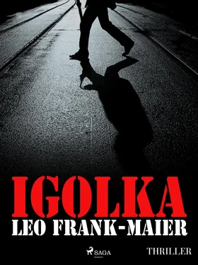 Leo Frank-Maier Igolka обложка книги