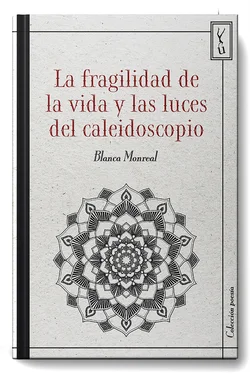 Blanca Monreal La fragilidad de la vida y las luces del calidoscopio обложка книги