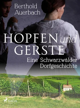Berthold Auerbach Hopfen und Gerste. Eine Schwarzwälder Dorfgeschichte обложка книги