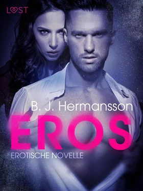B. J. Hermansson Eros: Erotische Novelle обложка книги