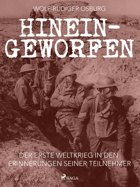 Wolf-Rüdiger Osburg Hineingeworfen обложка книги