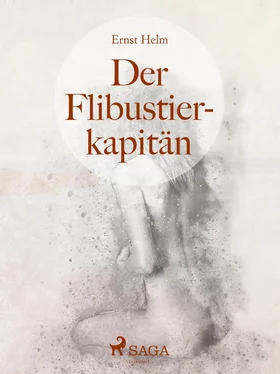 Ernst Helm Der Flibustierkapitän обложка книги