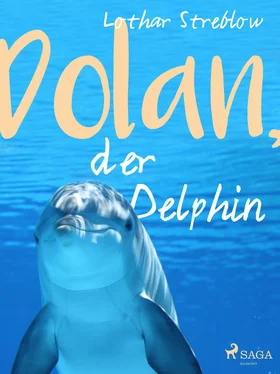 Lothar Streblow Dolan, der Delphin обложка книги