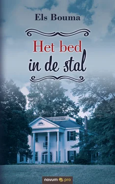 Els Bouma Het bed in de stal обложка книги