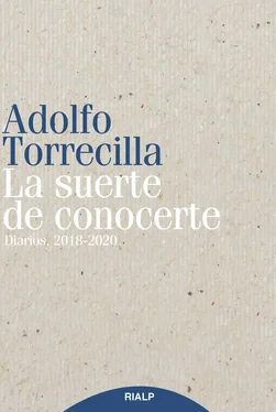 Adolfo Torrecilla Molinuevo La suerte de conocerte обложка книги