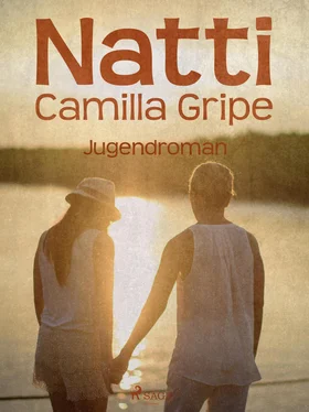 Camilla Gripe Natti обложка книги