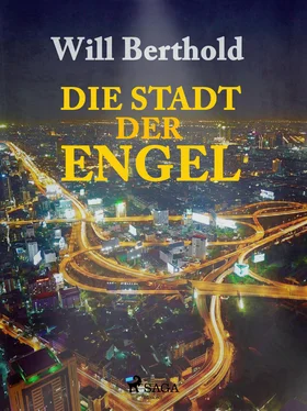 Will Berthold Die Stadt der Engel обложка книги