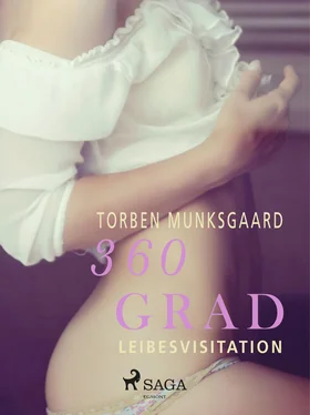 Torben Munksgaard 360 Grad - Leibesvisitation (Erotische Geschichten, Band 10) обложка книги