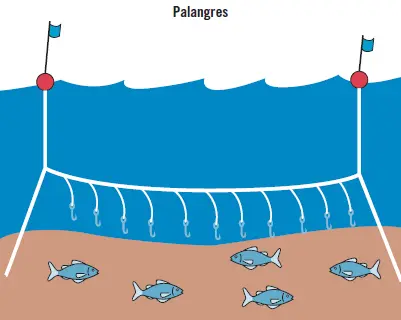 Dragas es un arte de marisqueo desde embarcación que emplea agua a presión - фото 158