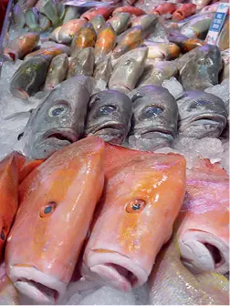 Los cambios del pescado tras su captura podrán observarse en su piel ojos - фото 108