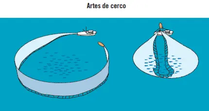 Redes de arrastre consiste en arrastrar el arte por el fondo La red tiene - фото 154