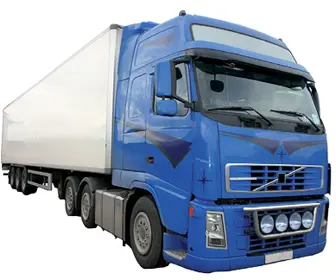 El dispositivo utilizado para el transporte de los productos pesqueros deberá - фото 131