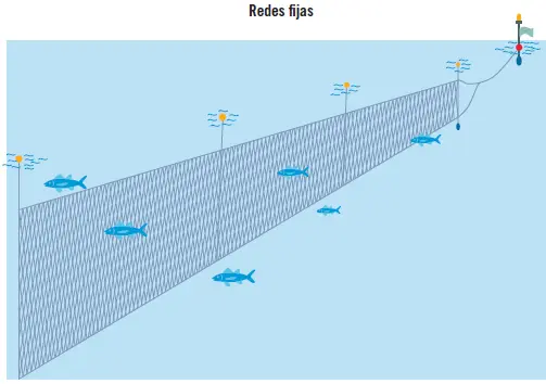 Artes de cerco se rodea al banco de peces con la red vertical La red se - фото 152